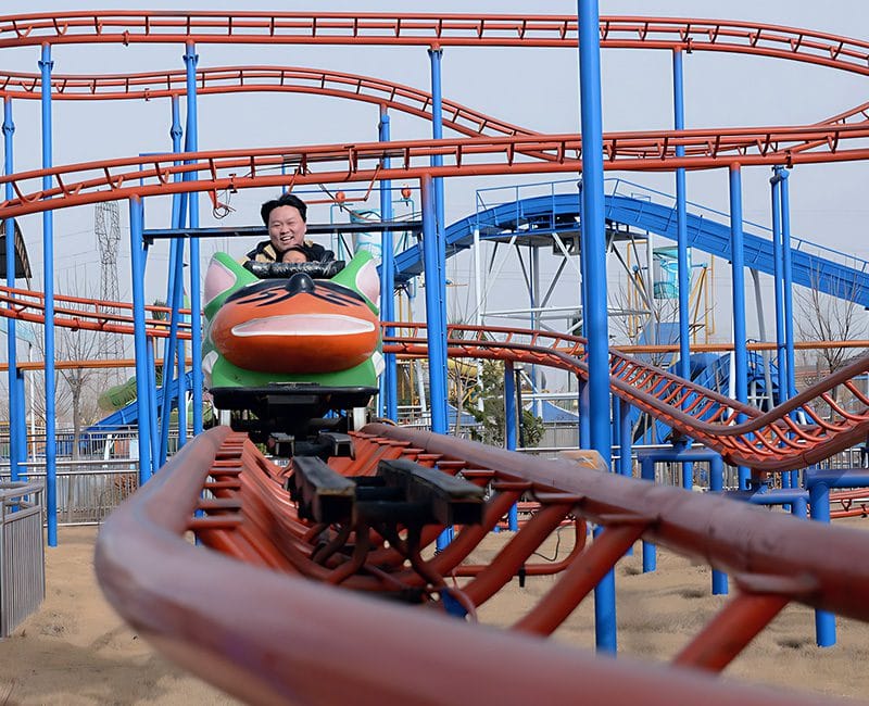 Theme park wild mouse roller coaster for sale